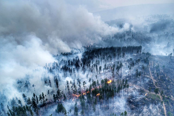 В Сибири горит миллион гектаров леса