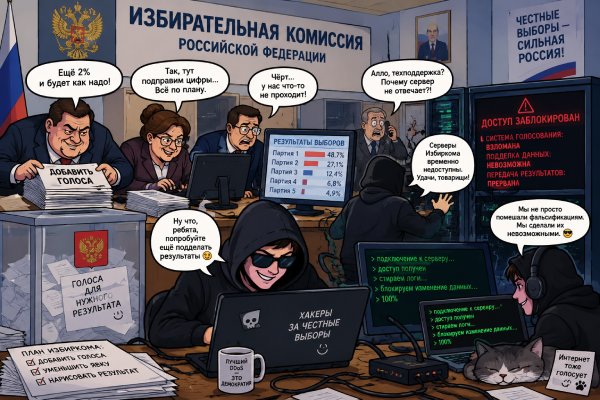 Хакеры против фальсификаций